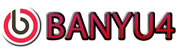 BANYU4 logo